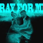 vejovybz pray for me cover