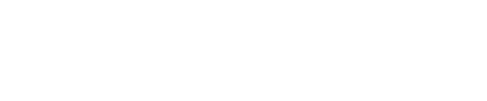 Vejovybz logo light transparent